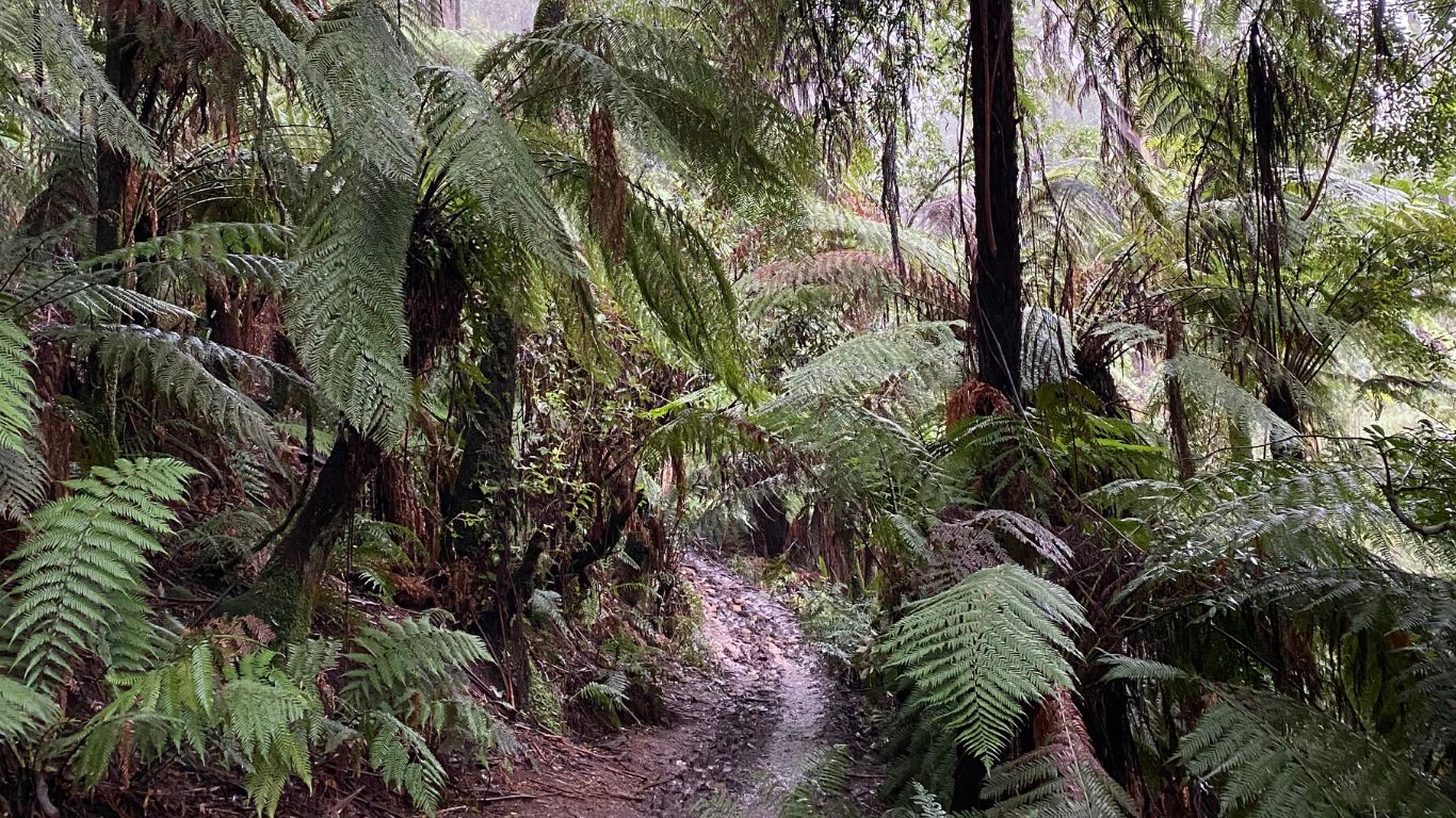 25 Short Hikes near Melbourne