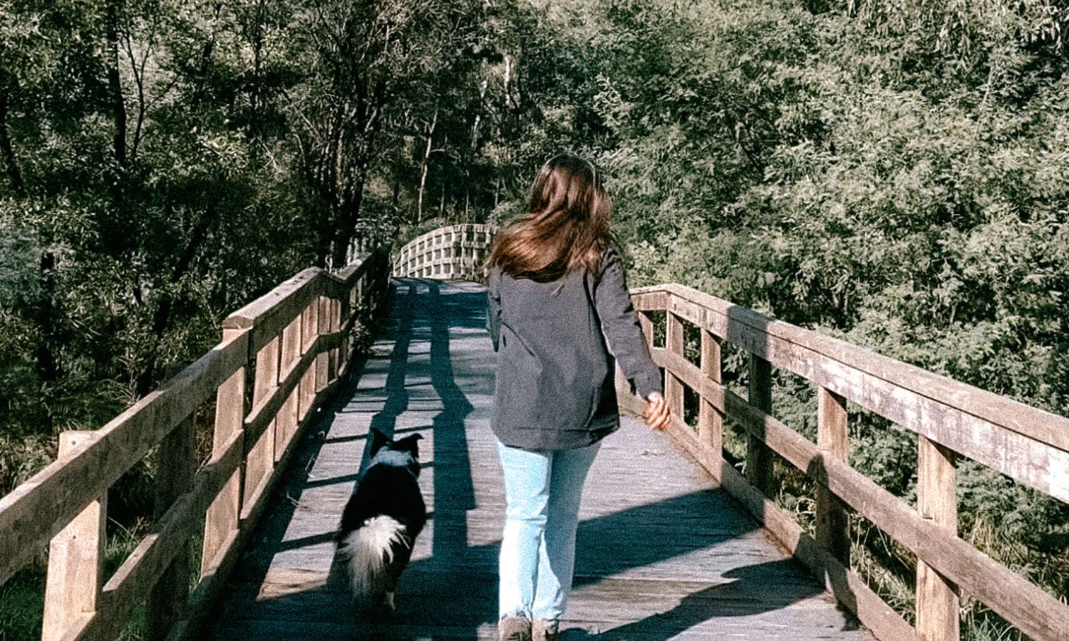 Best Dog Friendly Long Walks in Victoria