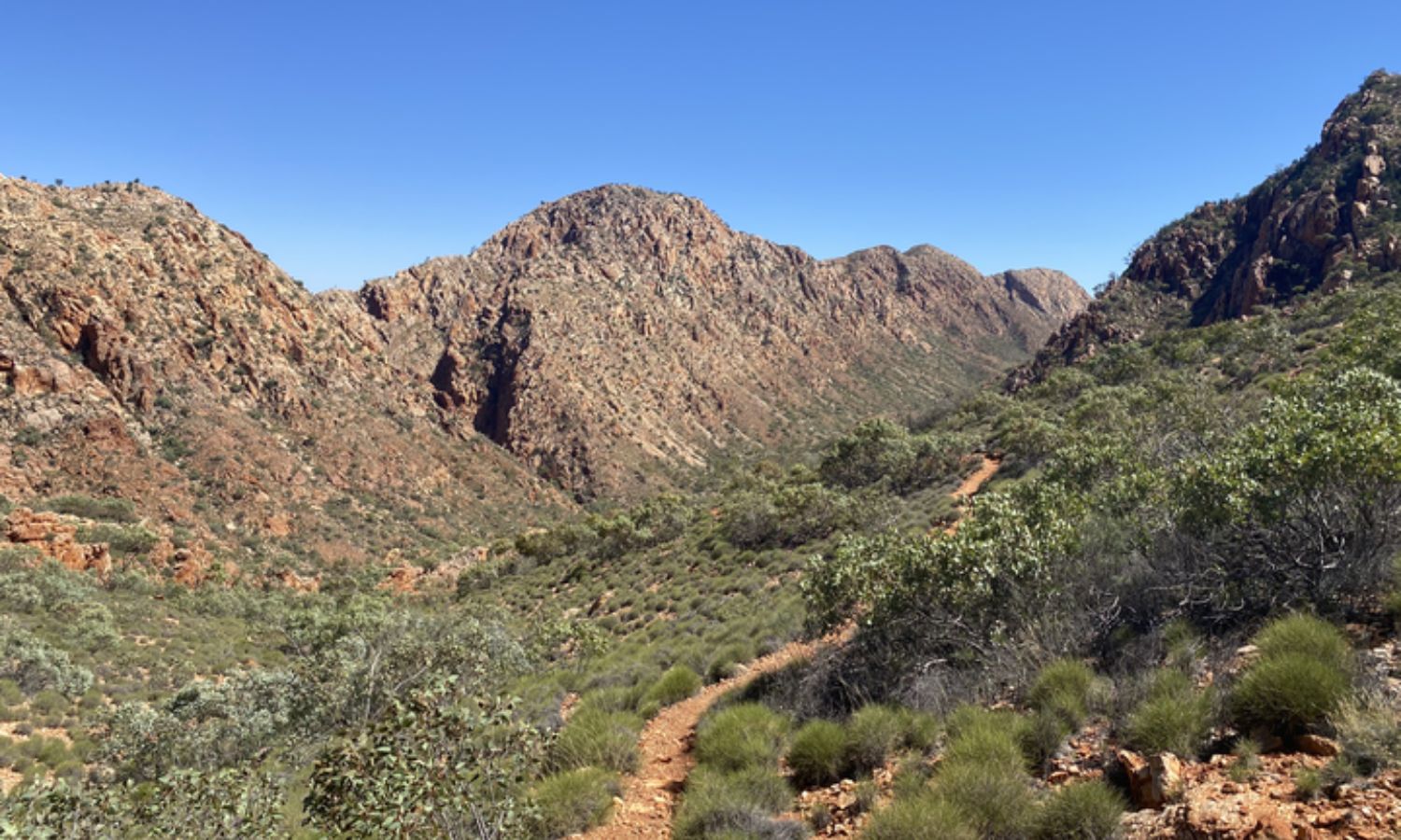 Leave No Trace Principles