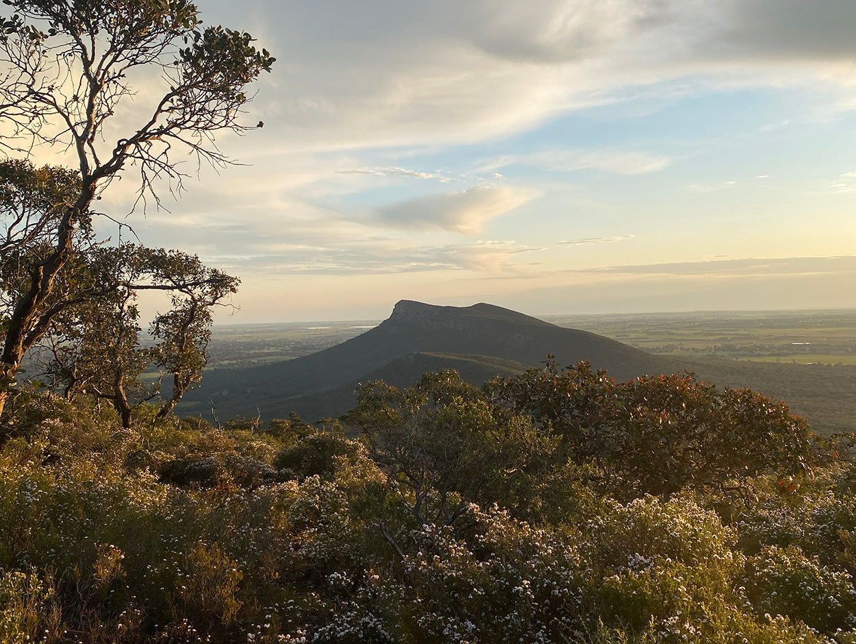 Best Autumn Hikes in Victoria