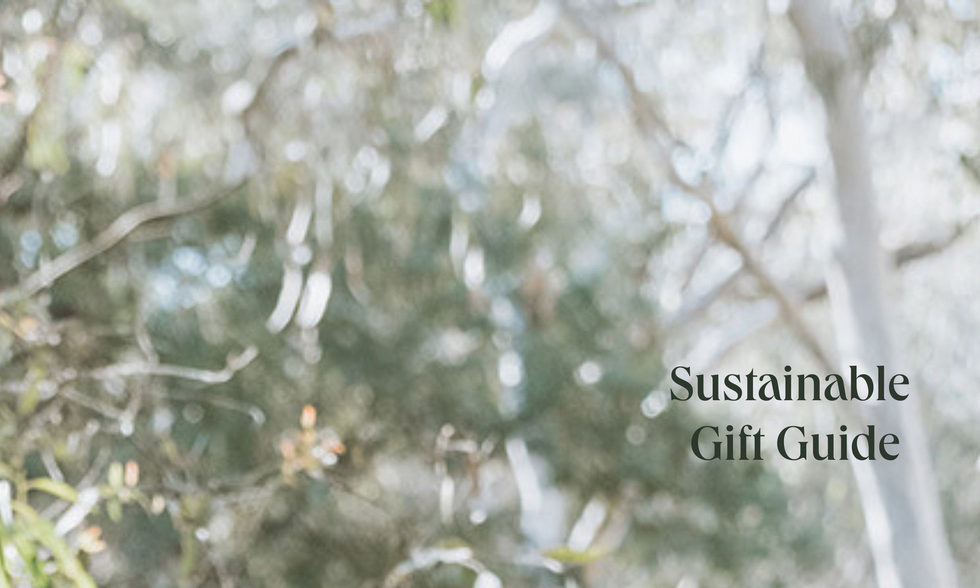 Sustainable Gift Guide 🎁